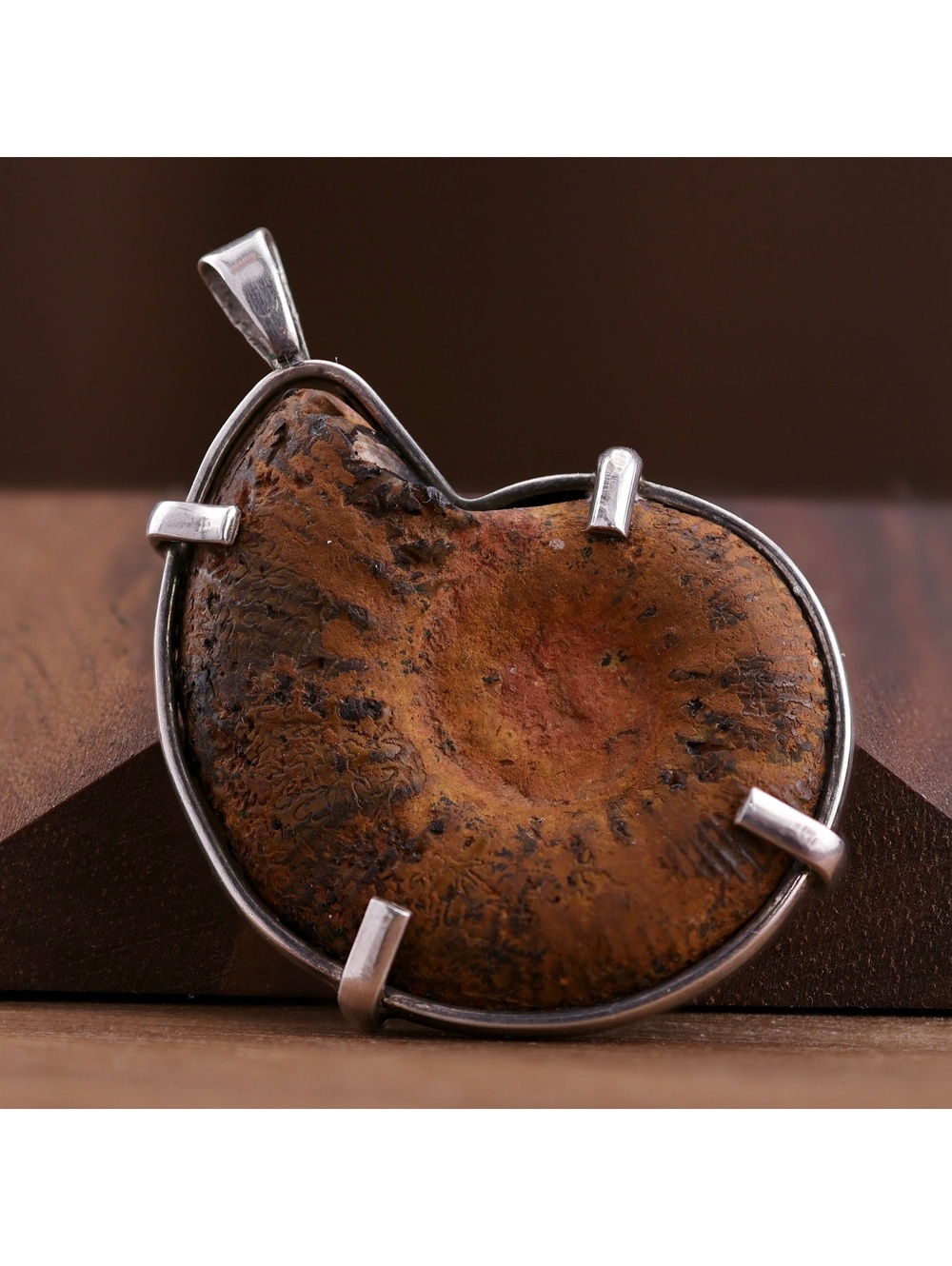 Polished Ammonite Fossil Slice Pendant 925 Sterling Silver